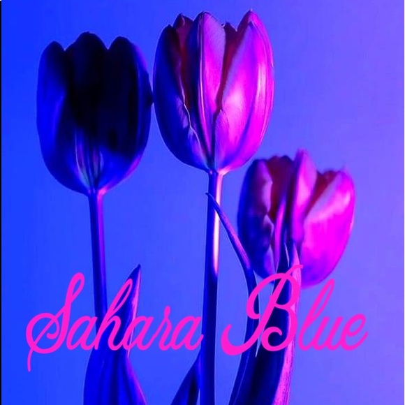 Meet your Posher, Sahara E Blue - Picture 1 of 1